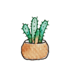 Cactus Story（個別スタンプ：18）