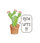 Cactus Story（個別スタンプ：19）