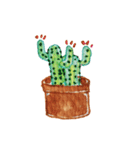 Cactus Story（個別スタンプ：20）