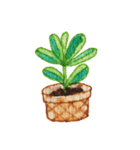 Cactus Story（個別スタンプ：22）