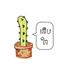 Cactus Story（個別スタンプ：23）