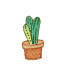 Cactus Story（個別スタンプ：24）