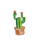 Cactus Story（個別スタンプ：25）