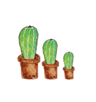 Cactus Story（個別スタンプ：27）