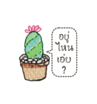 Cactus Story（個別スタンプ：31）