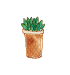 Cactus Story（個別スタンプ：34）