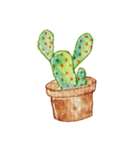 Cactus Story（個別スタンプ：37）