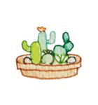 Cactus Story（個別スタンプ：40）