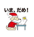 サンタ犬（けん）（個別スタンプ：13）
