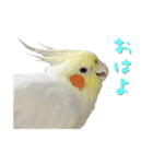 もーちゅとなーちゃん（個別スタンプ：1）