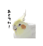 もーちゅとなーちゃん（個別スタンプ：4）