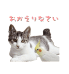 もーちゅとなーちゃん（個別スタンプ：6）