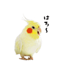 もーちゅとなーちゃん（個別スタンプ：10）