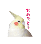 もーちゅとなーちゃん（個別スタンプ：11）