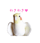 もーちゅとなーちゃん（個別スタンプ：25）