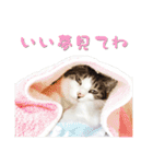 もーちゅとなーちゃん（個別スタンプ：40）