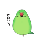 ワカケスタンプ（個別スタンプ：2）