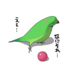 ワカケスタンプ（個別スタンプ：14）