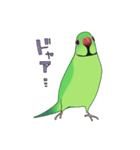 ワカケスタンプ（個別スタンプ：16）