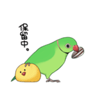 ワカケスタンプ（個別スタンプ：28）
