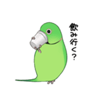 ワカケスタンプ（個別スタンプ：30）
