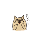 わん（個別スタンプ：12）