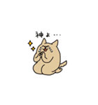 わん（個別スタンプ：24）