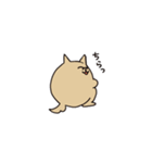 わん（個別スタンプ：27）