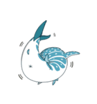 spot whale shark（個別スタンプ：7）
