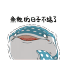 spot whale shark（個別スタンプ：16）