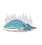 spot whale shark（個別スタンプ：20）