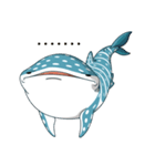spot whale shark（個別スタンプ：26）