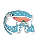 spot whale shark（個別スタンプ：34）