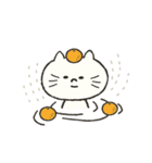 Xiao Xiao cat（個別スタンプ：4）