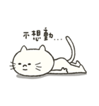 Xiao Xiao cat（個別スタンプ：30）
