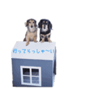 小助と柚子のココロ（個別スタンプ：3）