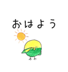 ピヨピヨクラブ（個別スタンプ：1）