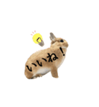 実写！うさぎのおこげ＊（個別スタンプ：13）