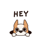 Playful Chihuahua II（個別スタンプ：1）