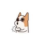 Playful Chihuahua II（個別スタンプ：2）