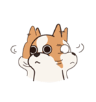 Playful Chihuahua II（個別スタンプ：3）