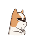 Playful Chihuahua II（個別スタンプ：4）