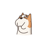 Playful Chihuahua II（個別スタンプ：6）