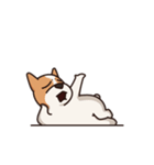 Playful Chihuahua II（個別スタンプ：7）