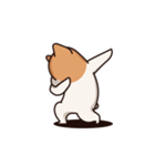 Playful Chihuahua II（個別スタンプ：9）