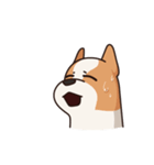 Playful Chihuahua II（個別スタンプ：10）