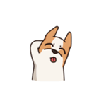 Playful Chihuahua II（個別スタンプ：11）