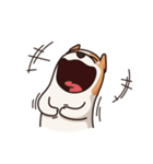 Playful Chihuahua II（個別スタンプ：12）