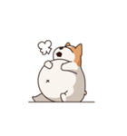 Playful Chihuahua II（個別スタンプ：15）