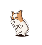Playful Chihuahua II（個別スタンプ：16）